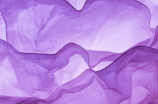 600岁巨型紫藤花被剪掉震惊全国！